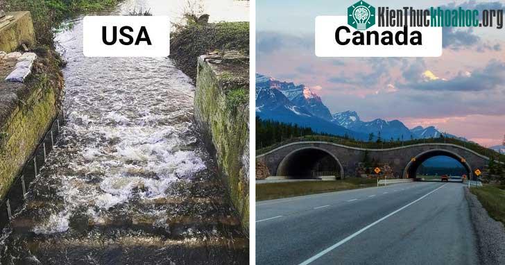 Tại bang Oregon (Mỹ), người ta còn xây nhiều kênh dẫn nước để giúp cá hồi vượt sông an toàn mỗi mùa sinh sản.&nbsp;