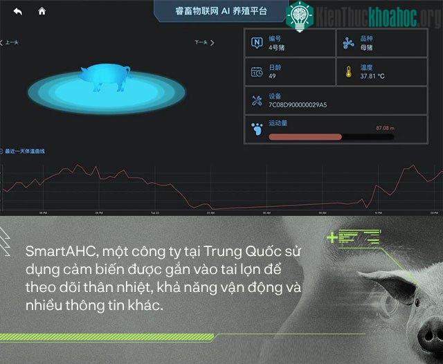 Trung Quốc chống lại dịch tả lợn châu Phi bằng công nghệ nhận diện mặt lợn như thế nào? ảnh 2