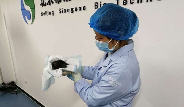 https://i.khoahoc.tv/photos/image/2019/03/20/cho-nghiep-vu-kunxun-2.jpg