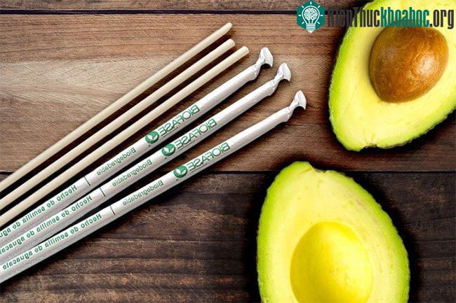 Biofase gom hạt bơ và sau đó biến chúng thành vật dụng dùng 1 lần.
