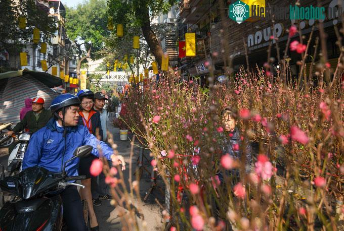 Anh Nguyễn Đình Toàn (Cửa Nam, Hà Nội) đến chợ hoa từ sớm để kết hợp mua sắm đồ Tết và đồ cúng ngày 23 tháng Chạp
