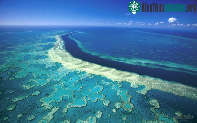 Rạn san hô Great Barrier