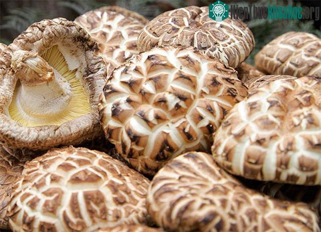 Nấm hương Nhật Bản được cho là dày và thơm hơn và mùa thu và mùa xuân.