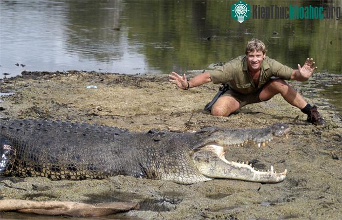 https://i.khoahoc.tv/photos/image/2019/02/22/stephen-robert-irwin-2.jpg