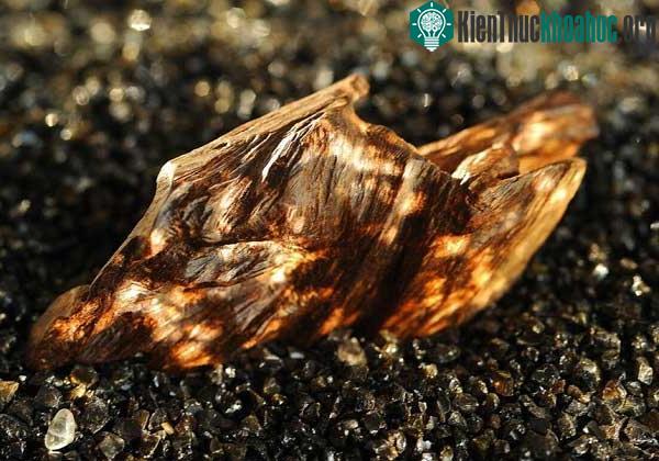 Hương trầm bắt đầu phổ biến rộng rãi trong giới nước hoa cách đây khoảng 20 năm trở lại. (Ảnh: Elle.fr).