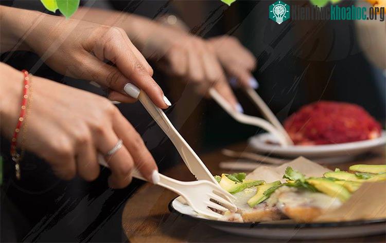 Các sản phẩm của Biofase bao gồm dao, dĩa (nĩa), thìa (muỗng) và ống hút.