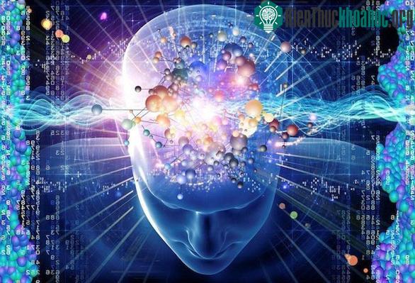 Não người là một cỗ máy cực kỳ tinh vi và phức tạp - (Ảnh: WiredCosmos).