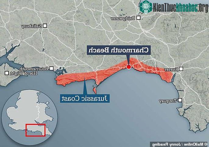 Bờ biển Dorset hay còn gọi là "Bờ biển Kỷ Jura" (tô đỏ) - (ảnh: DAILY MAIL).