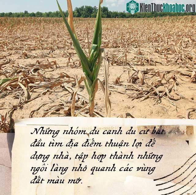 Nông nghiệp đã suýt chút nữa phá hủy nền văn minh nhân loại ảnh 4