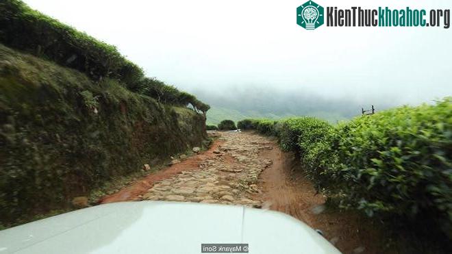 Hành trình tới Kolukkumalai - một khu vực có nhiều hoa Neelakurinji bao phủ, cũng là nơi được cho là có nhiều đồn điền chè ở độ cao cao nhất thế giới - là một nơi khó đến