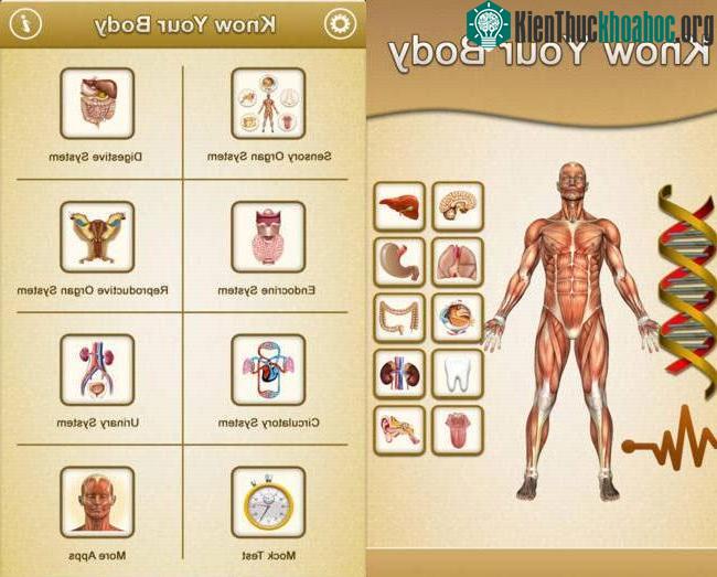 Know your body