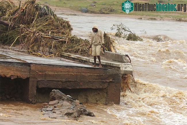Một người đàn ông đứng bên rìa cây cầu bị sập ở Chimanimani, cách Harare, Zimbabwe