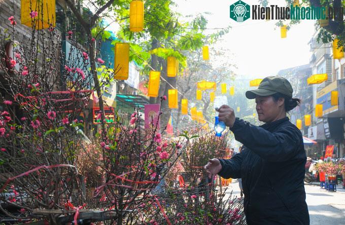 Chị Hòa, một người bán đào tại chợ cho hay, càng những ngày cận Tết chị bán càng đắt hàng