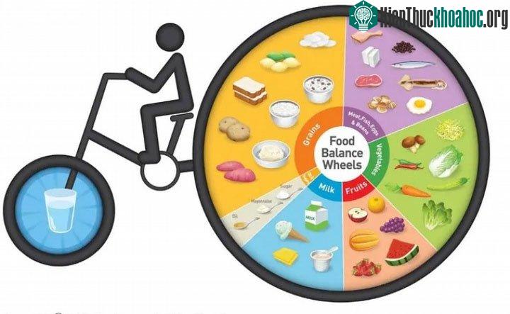 Hướng dẫn dinh dưỡng của Hàn Quốc
