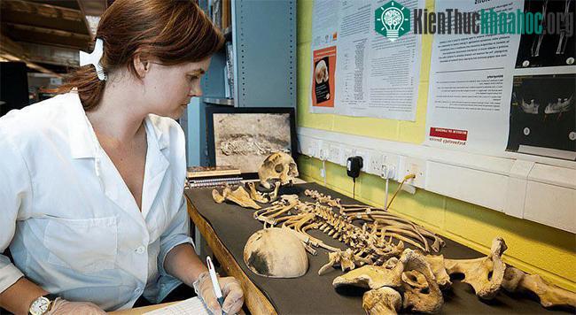Một bộ hài cốt cổ được đem về phòng thí nghiệm để nghiên cứu