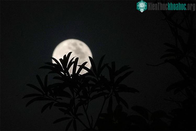 Vì sao đêm qua không quan sát được siêu trăng ở Hà Nội?