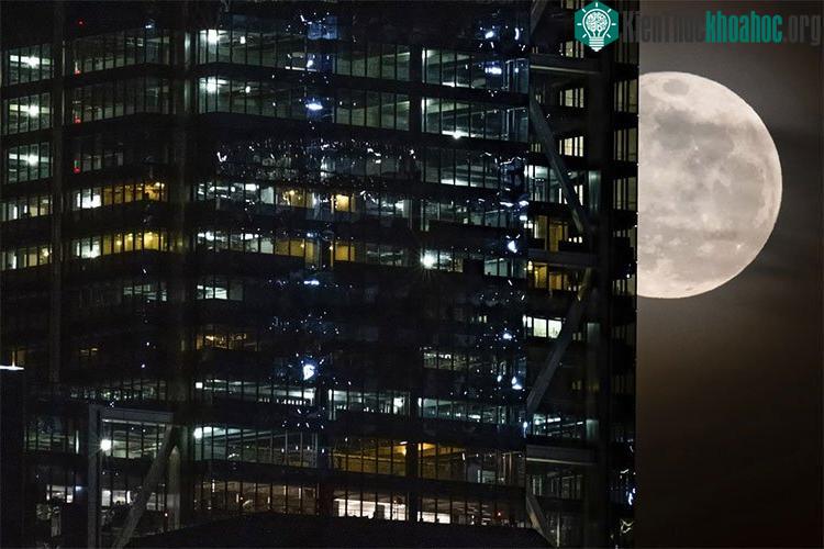 Lấp ló phía sau tòa nhà Trung tâm Thương mại Thế giới ở thành phố New York là Siêu Trăng cuối cùng của năm 2019.