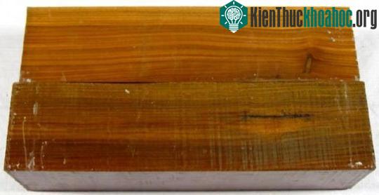Gỗ lignum vitae