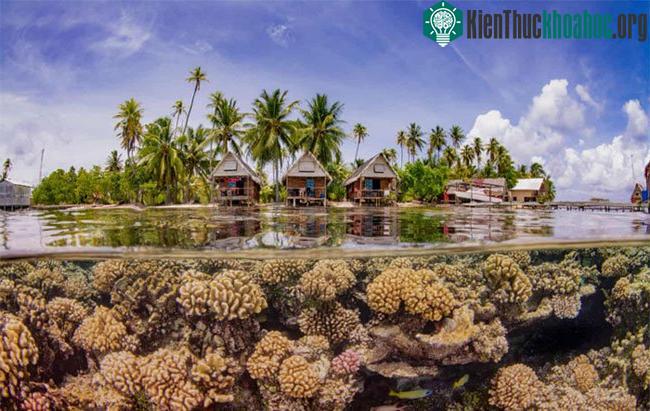 Bức ảnh "Thiên đường" do Taeyup Kim (Hàn Quốc) được chụp tại vùng Polynesie (Pháp)