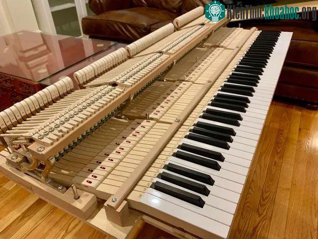 Bạn sẽ hiểu rõ hơn về cách một chiếc đàn piano hoạt động, khi được mục sở thị phiên bản “trần trụi” của nó.