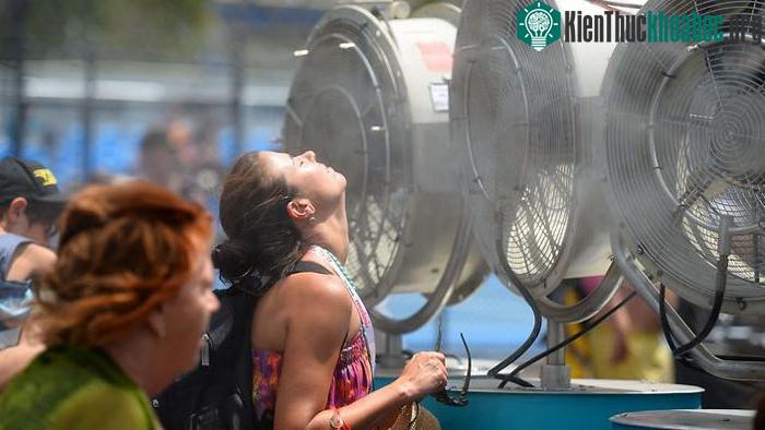 Tình trạng ấm lên góp phần làm tăng các đợt sóng nhiệt cực đoan, hạn hán và cháy rừng.