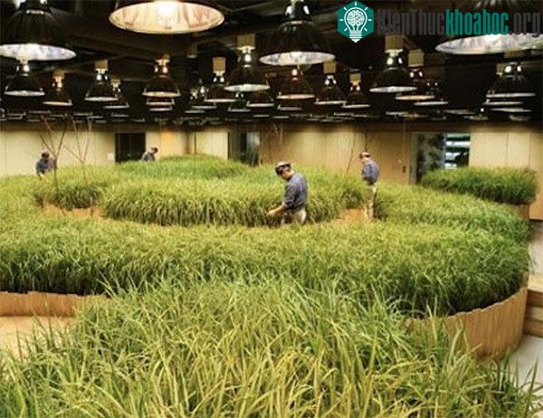 14 phát minh ở Nhật Bản khiến bạn nhận ra chúng ta và họ dường như cách nhau cả thế kỷ ảnh 8