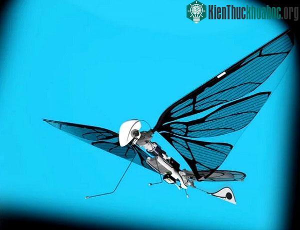 Dáng vẻ mềm mại và ngộ nghĩnh của MetaFly.