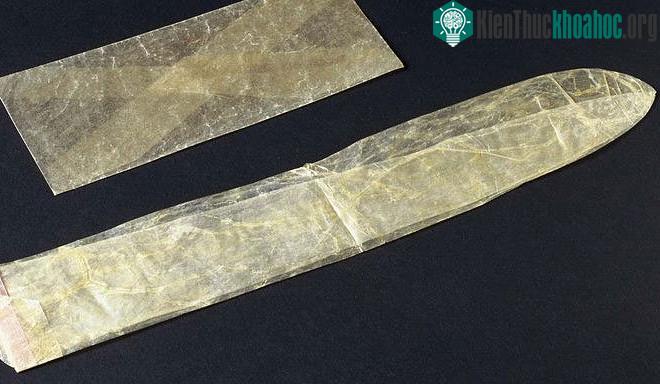 Bao cao su làm từ ruột động vật, đầu thế kỷ 19.