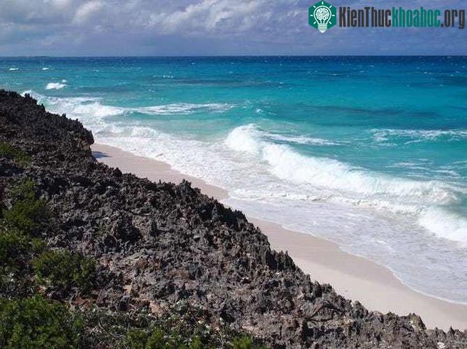 Tai nạn này xảy ra vào năm 1975 ở Bermuda.
