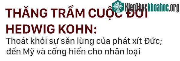 Cuộc đời Hedwig Kohn