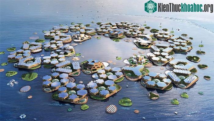 Người dân sống ở Oceanix City sẽ tự cung tự cấp.
