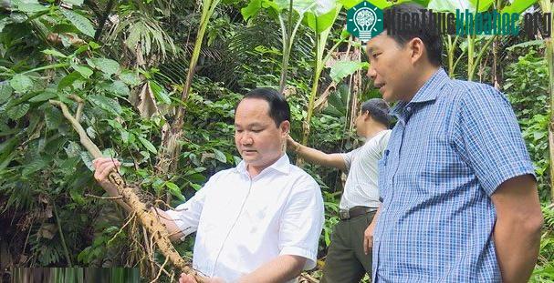 Đoàn khảo sát thực tế tại khu vực Trạm Quản lý, bảo vệ rừng Thung khiển.