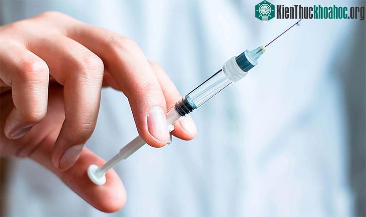 Phương thuốc mới biến chính khối u thành "nhà máy sản xuất vắc xin ung thư"