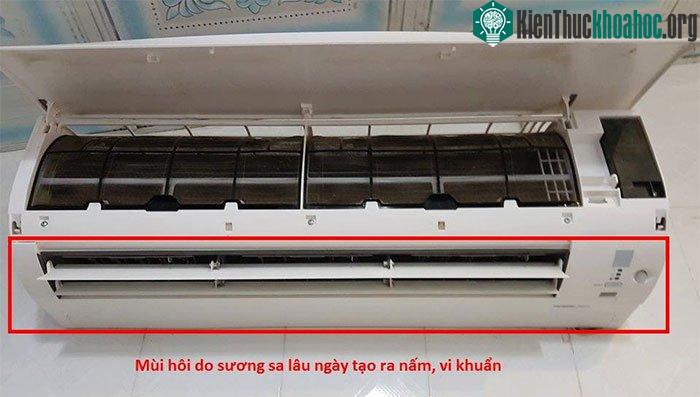 Vi khuẩn, nấm mốc và bụi trong máy lạnh khiến máy lạnh có mùi