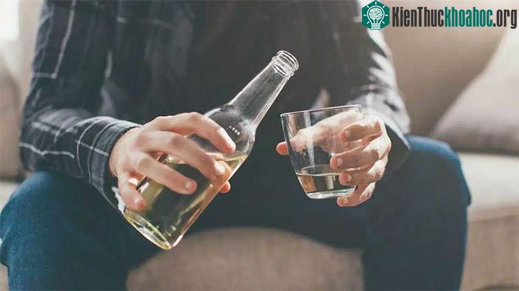 Sở thích liên quan đến rượu có thể đã phát triển từ hàng chục triệu năm trước ở tổ tiên chúng ta.