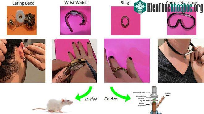 Các nhà khoa học đang thử nghiệm nhiều trang sức có tác dụng tránh thai.