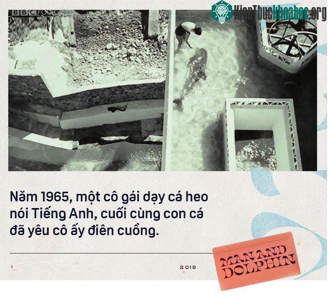 Năm 1965, một cô gái dạy cá heo nói Tiếng Anh, cuối cùng con cá đã yêu cô ấy điên cuồng ảnh 0