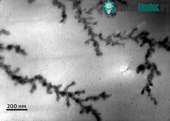 Dendrite len lỏi bên trong pin.
