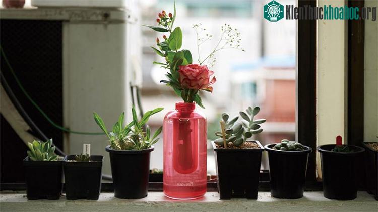 Chiếc bình chữa cháy nhìn không khác mấy so với bình hoa thông thường
