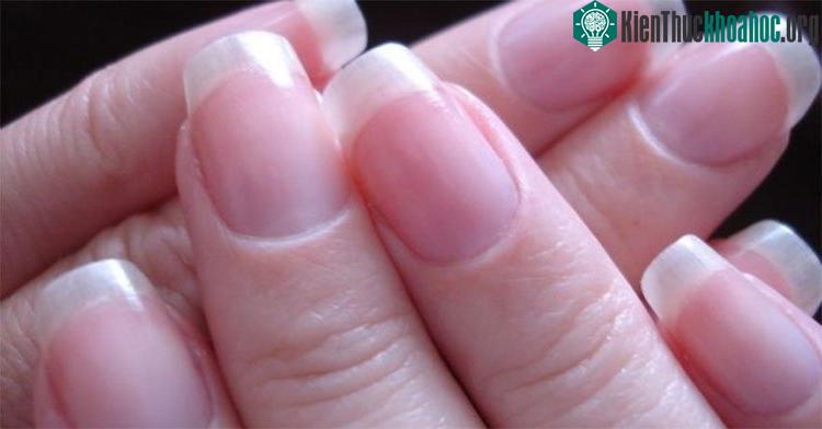 Móng tay cũng giống như tóc, cũng mọc dài liên tục.