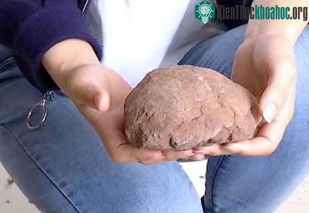 Trứng khủng long thoạt nhìn trông giống như tảng đá.