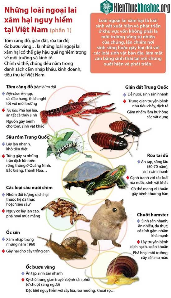 Những loài động vật ngoại lai ở Việt Nam