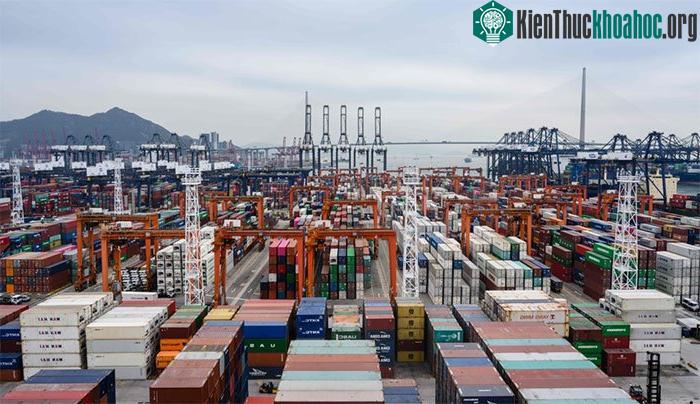 Tàu hàng cập cảng Rotterdam tại Hà Lan
