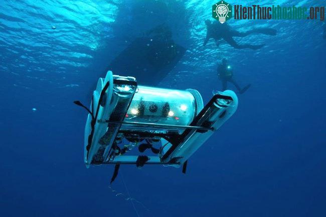 Thiết bị lặn tự sạc pin nhờ... phân cá ảnh 0