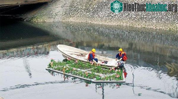 Nước sông Tô Lịch "hồi sinh" sau một tuần "giải cứu" ảnh 1