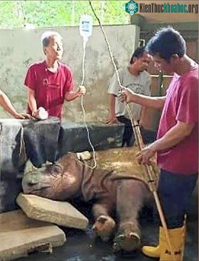 Những giờ phút cuối cùng của Tam.