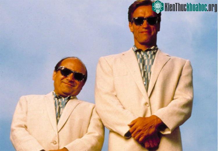 Trong ảnh: cặp đôi trong bộ phim "Anh em sinh đôi" dựa trên câu chuyện có thật này