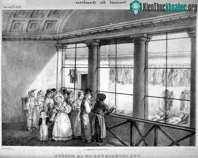 Không có một cửa sổ nào ở Paris thu hút nhiều người xem hơn chiếc cửa sổ này.