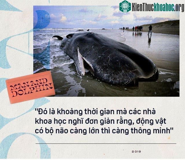Năm 1965, một cô gái dạy cá heo nói Tiếng Anh, cuối cùng con cá đã yêu cô ấy điên cuồng ảnh 1