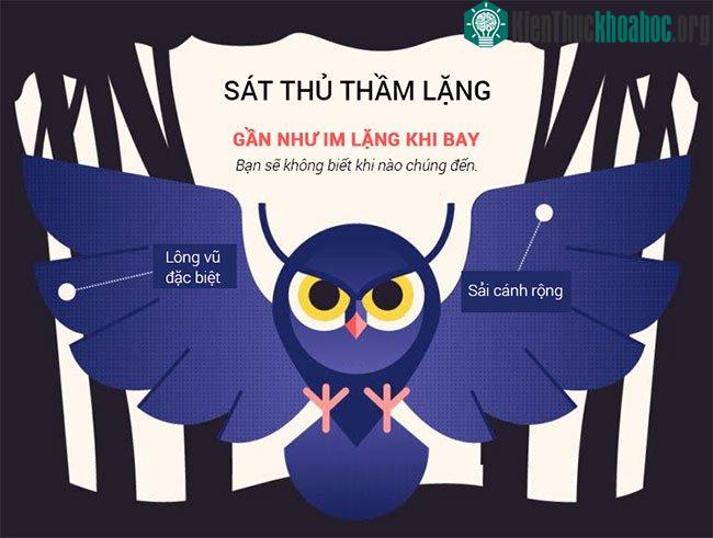 Loài động vật ma mị nhất hành tinh ảnh 1